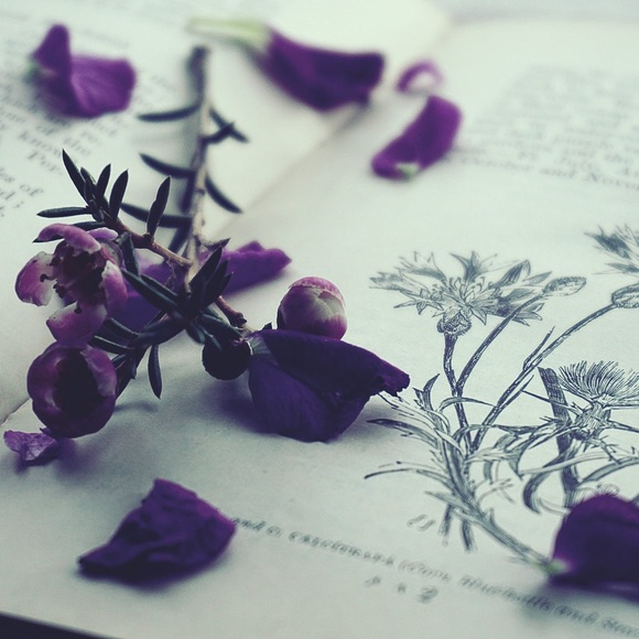 Meet your Posher, Melonie - Picture 7 of 8